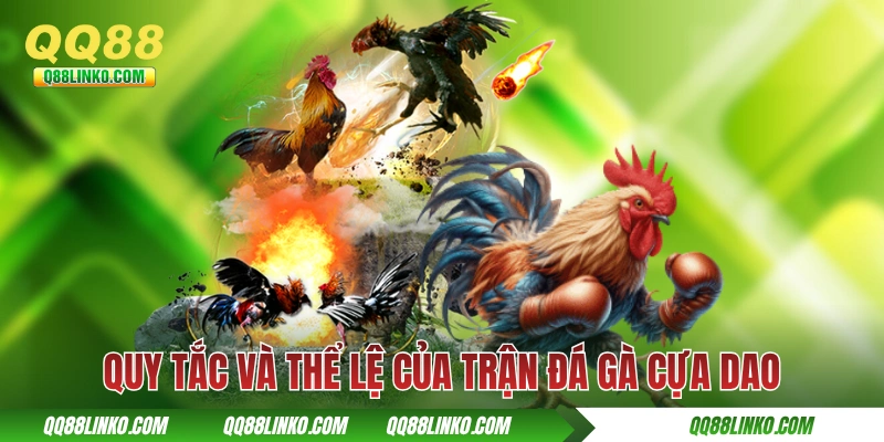 Quy tắc và thể lệ của trận đá gà cựa dao chuyên nghiệp