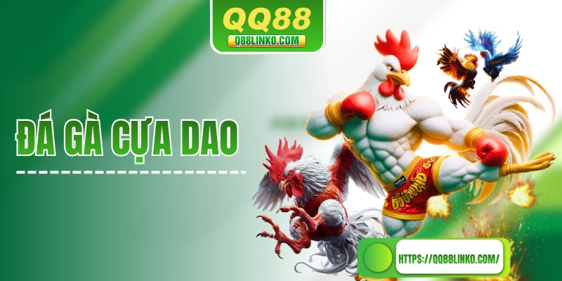 Đá Gà Cựa Dao - Hoà Vào Sự Kịch Tính Của Từng Cú Vung Cựa