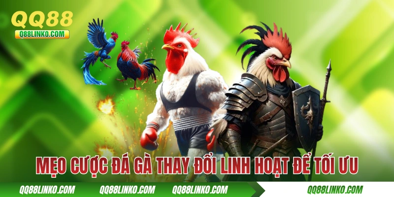 Mẹo cược đá gà thay đổi linh hoạt để tối ưu