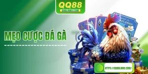 Mẹo Cược Đá Gà Đúc Kết Từ Những Kinh Nghiệm “Xương Máu”