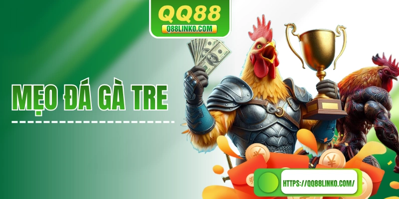 Mẹo Đá Gà Tre - Cách Chọn Cá Thể Tốt Và Chăm Sóc Đúng Cách